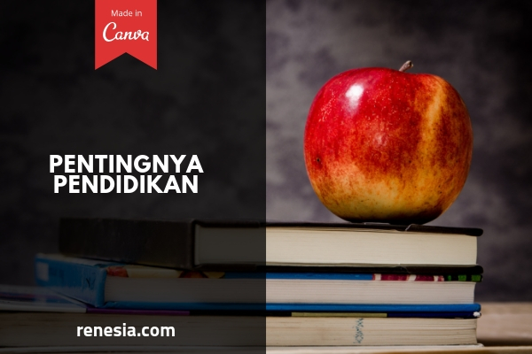 10 Alasan Kenapa Pentingnya Pendidikan Untuk Aku Dan Kamu