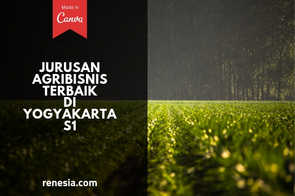 Jurusan Agribisnis Terbaik Di Yogyakarta