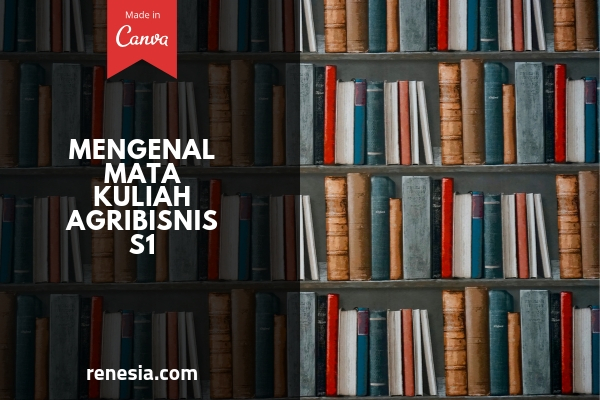 Mata Kuliah Agribisnis