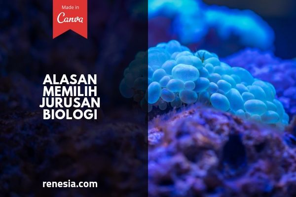 Alasan Memilih Jurusan Biologi