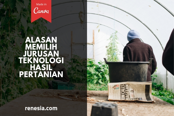 Alasan Memilih Jurusan Teknologi Hasil Pertanian