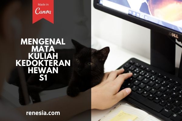 Mata Kuliah Kedokteran Hewan