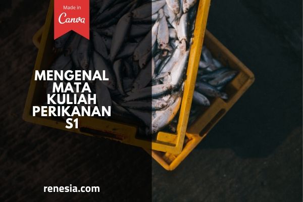 Mata Kuliah Perikanan