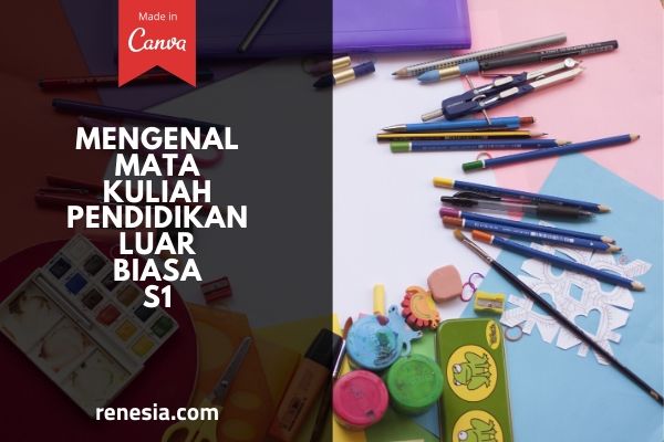 Mata Kuliah Pendidikan Luar Biasa