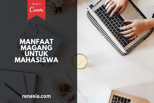 Manfaat Magang Untuk Mahasiswa