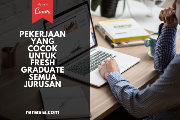 Pekerjaan Yang Cocok Untuk Fresh Graduate Semua Jurusan