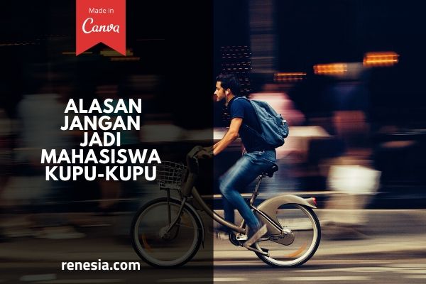Alasan Jangan Jadi Mahasiswa Kupu-Kupu