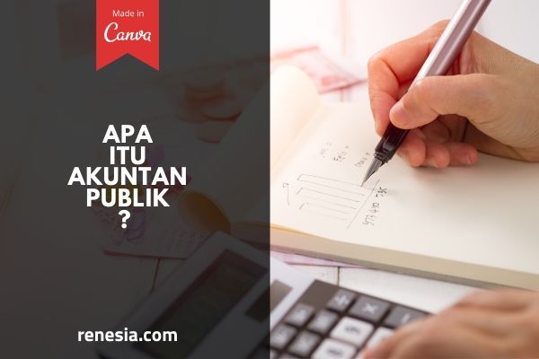 Akuntan Publik Adalah