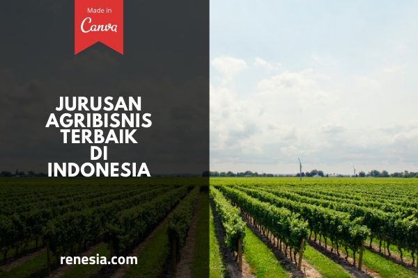 Jurusan Agribisnis Terbaik Di Indonesia