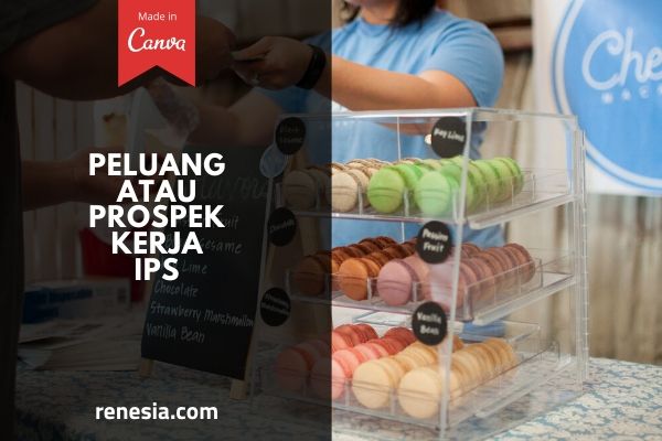 Peluang Atau Prospek Kerja IPS