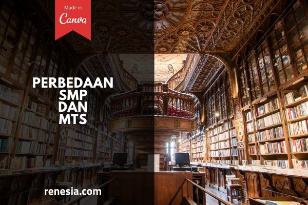 Perbedaan SMP Dan MTs