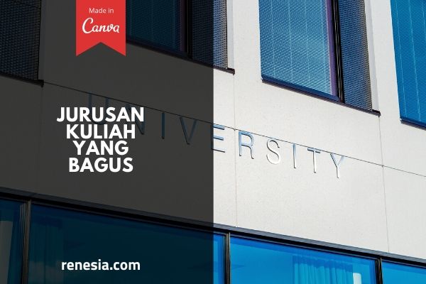 Jurusan Kuliah Yang Bagus
