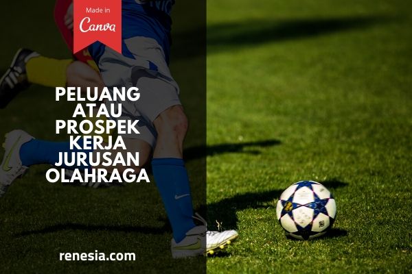 Peluang Atau Prospek Kerja Jurusan Olahraga