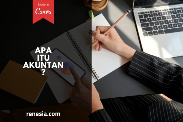 Apa Itu Akuntan
