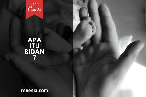 Apa Itu Bidan