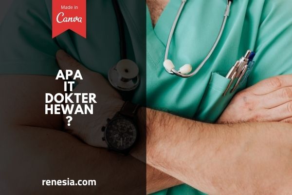 Apa Itu Dokter Hewan