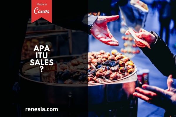 Apa Itu Sales