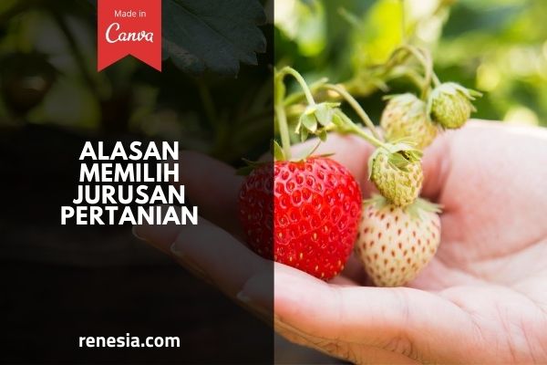 Alasan Memilih Jurusan Pertanian