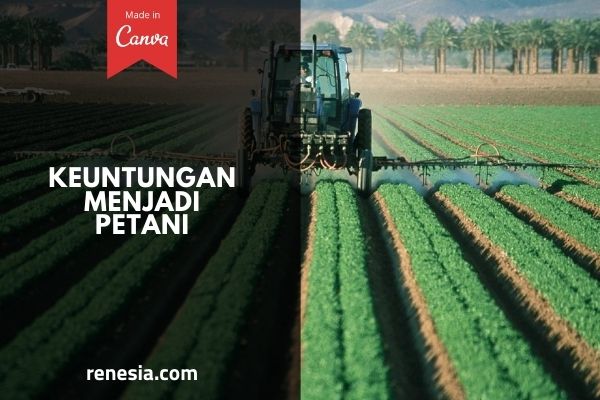 Keuntungan Menjadi Petani
