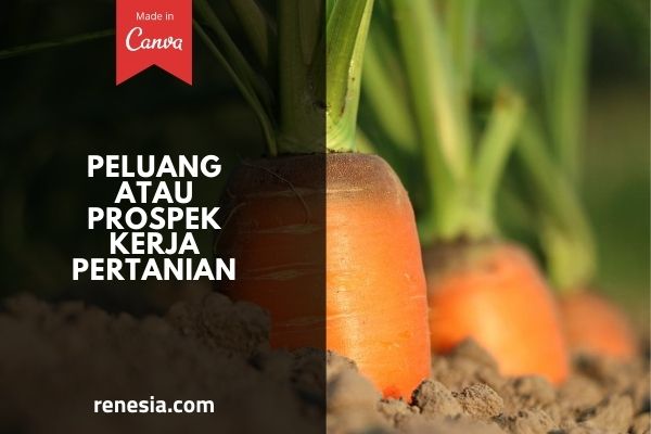 Peluang Atau Prospek Kerja Pertanian