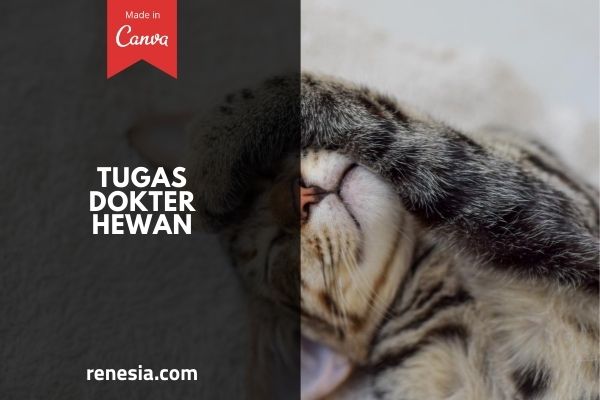 Tugas Dokter Hewan