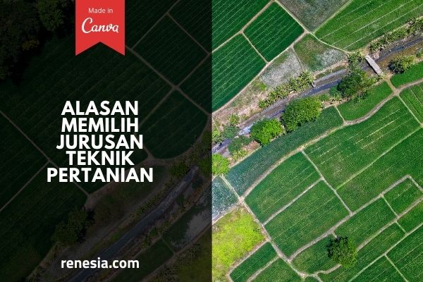 Alasan Memilih Jurusan Teknik Pertanian