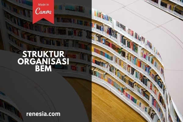 Struktur Organisasi BEM