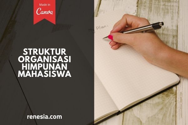 Struktur Organisasi Himpunan Mahasiswa