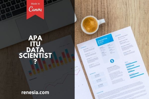 Apa Itu Data Scientist