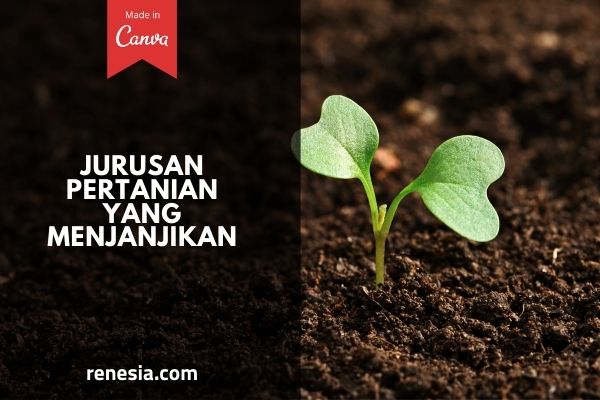 Jurusan Pertanian Yang Menjanjikan