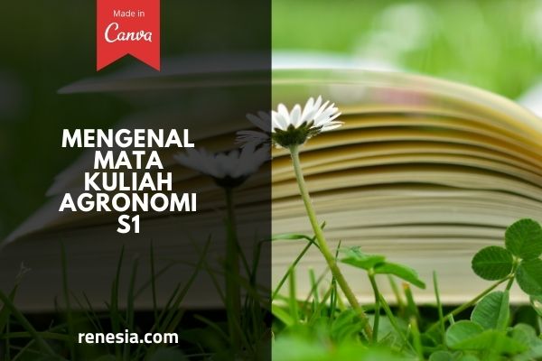 Mata Kuliah Agronomi