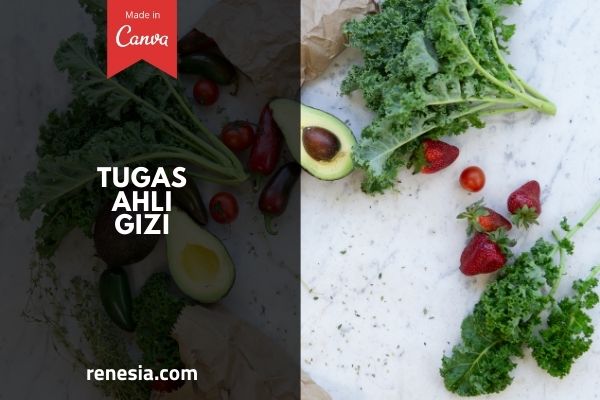 Tugas Ahli Gizi