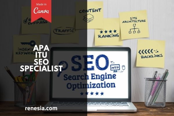 Apa Itu SEO Specialist