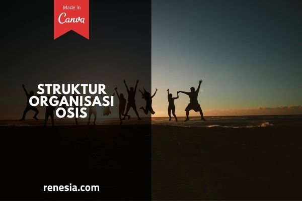 Struktur Organisasi OSIS