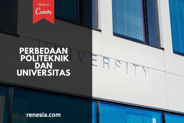 Perbedaan Politeknik Dan Universitas