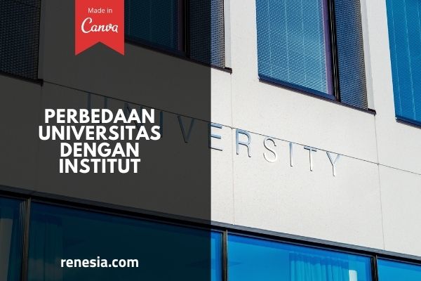 Perbedaan Universitas Dengan Institut