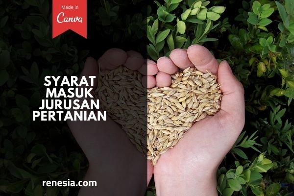 Syarat Masuk Jurusan Pertanian