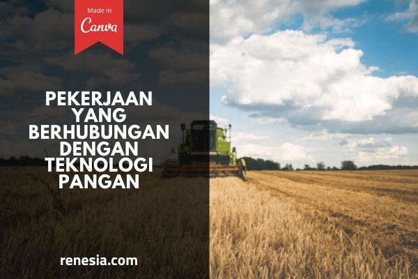 Pekerjaan Yang Berhubungan Dengan Teknologi Pangan