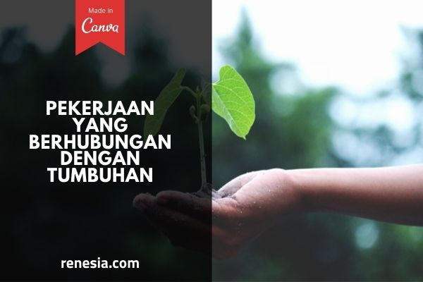 Pekerjaan Yang Berhubungan Dengan Tumbuhan