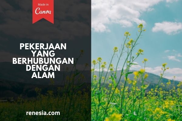 Pekerjaan Yang Berhubungan Dengan Alam