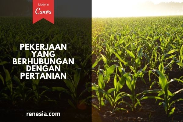 Pekerjaan Yang Berhubungan Dengan Pertanian
