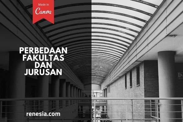 Perbedaan Fakultas Dan Jurusan