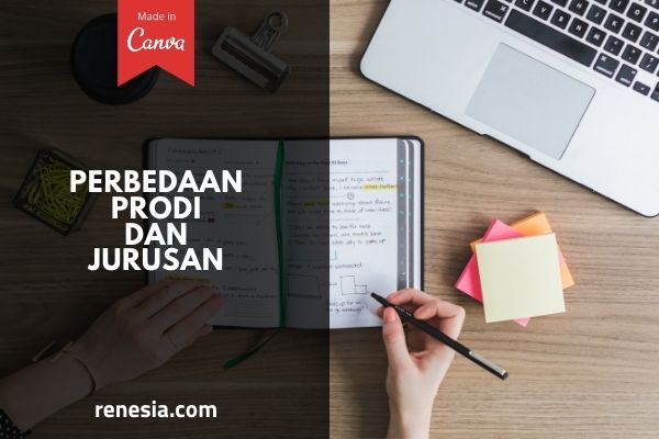 Perbedaan Prodi Dan Jurusan