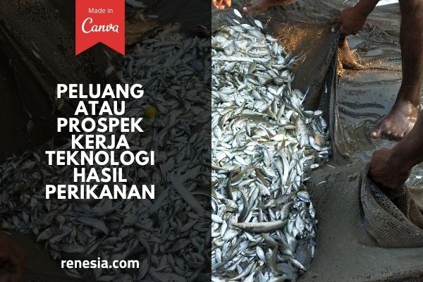 Peluang Atau Prospek Kerja Teknologi Hasil Perikanan