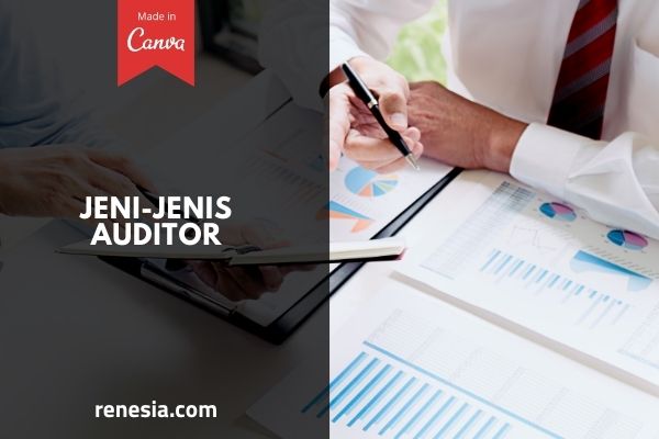 Jenis Jenis Auditor