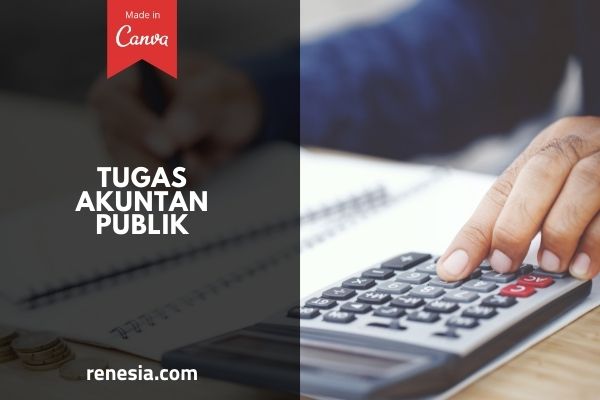 Tugas Akuntan Publik