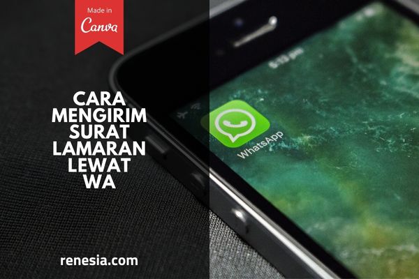 Cara Mengirim Surat Lamaran Lewat WA