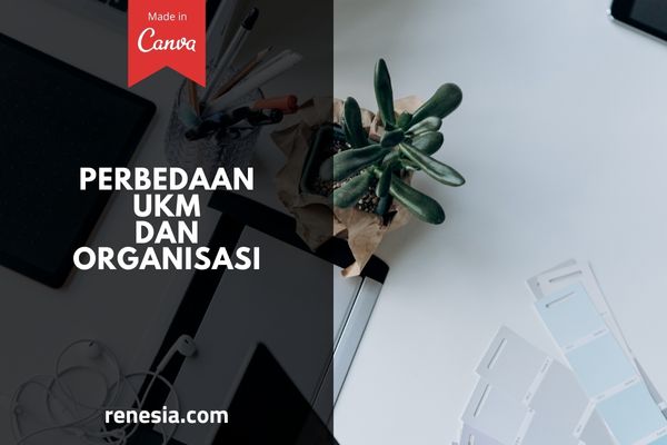 Perbedaan UKM Dan Organisasi