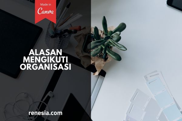 Alasan Mengikuti Organisasi