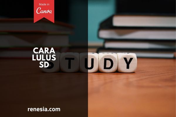 Cara Lulus SD